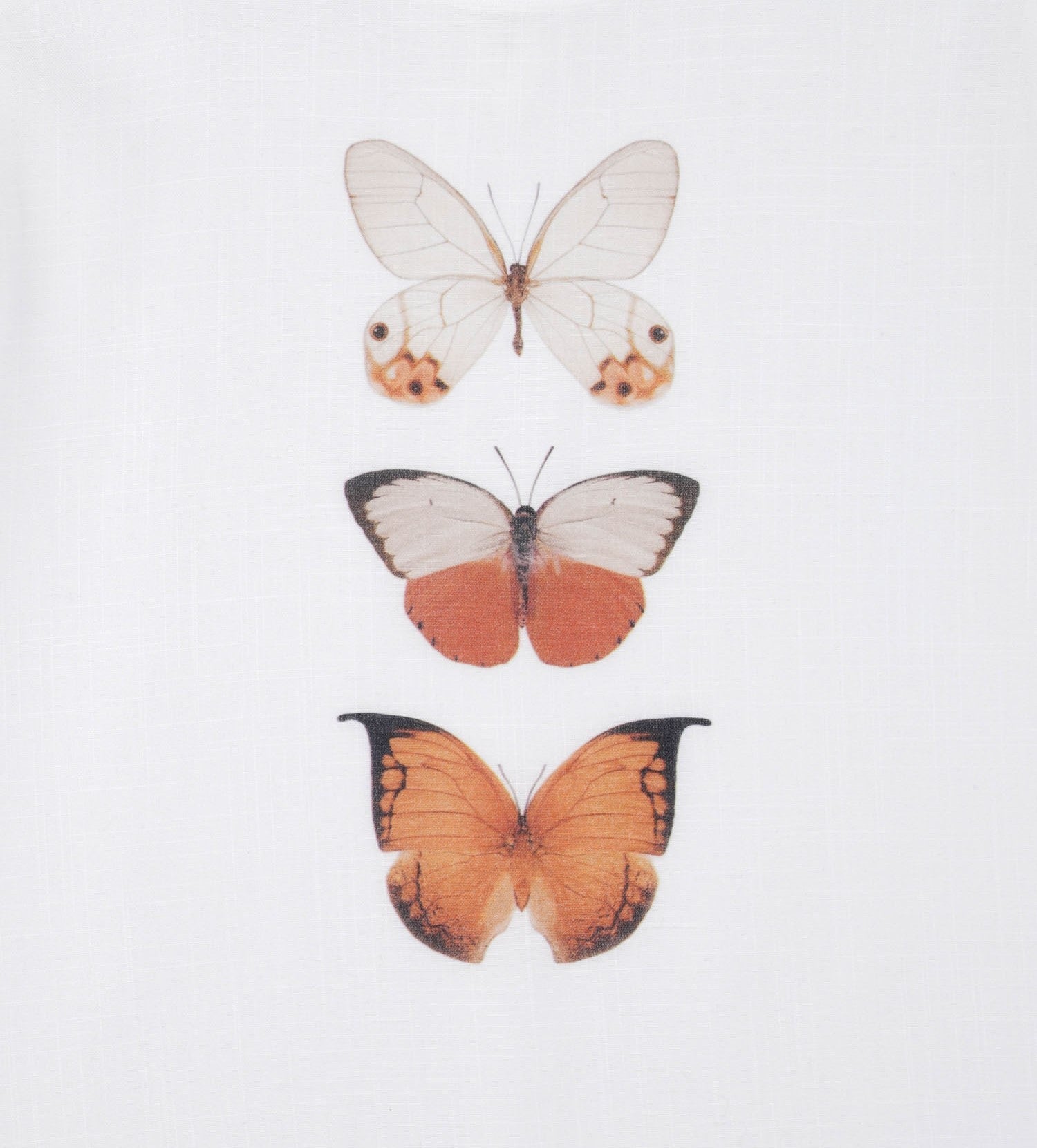 Orange Butterfly Girls Casual Set