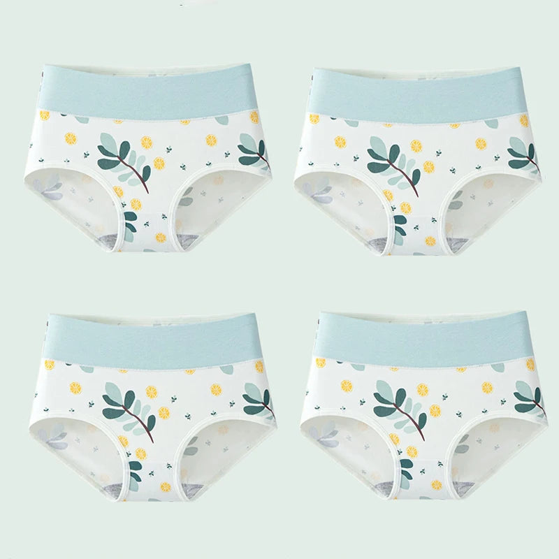 Culottes Femme Taille Haute