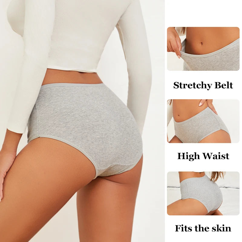 Culottes Rayées Grande Taille