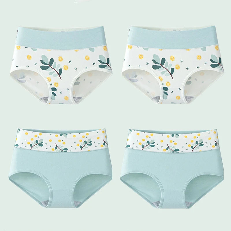 Culottes Femme Taille Haute