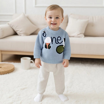 Pull Bébé Garçon Automne