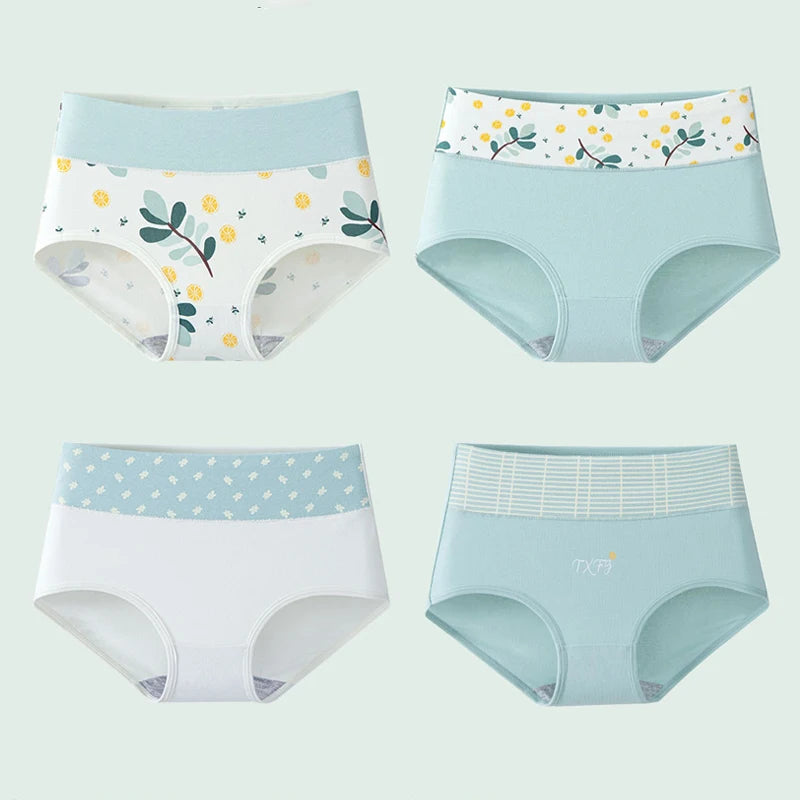 Culottes Femme Taille Haute