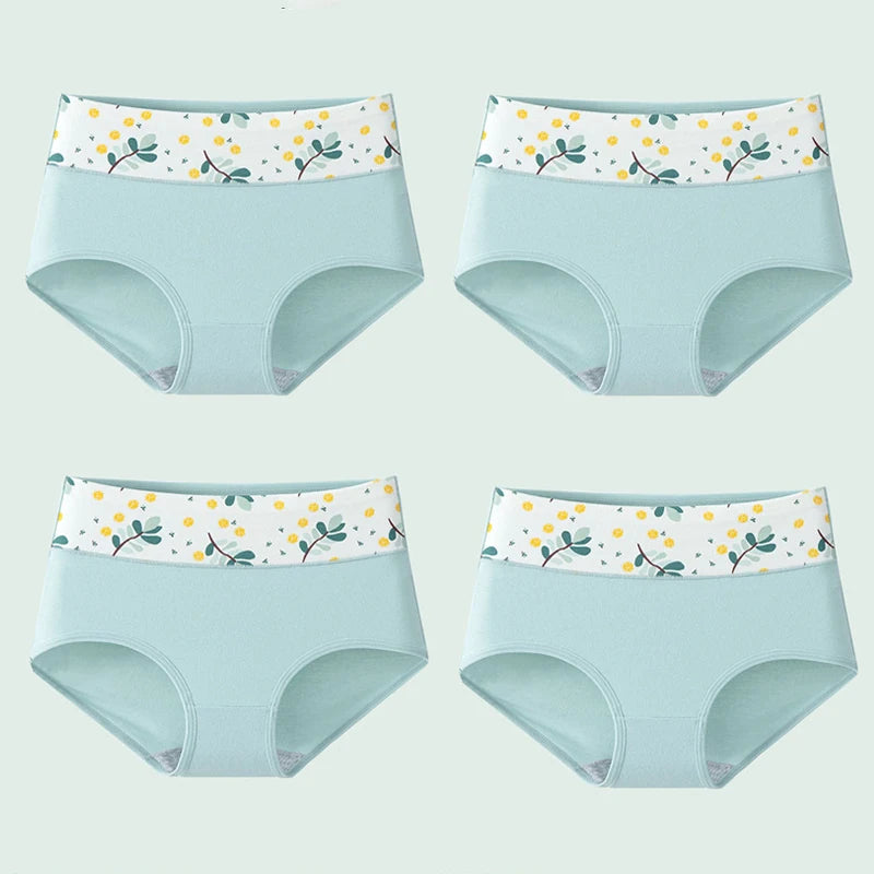 Culottes Femme Taille Haute