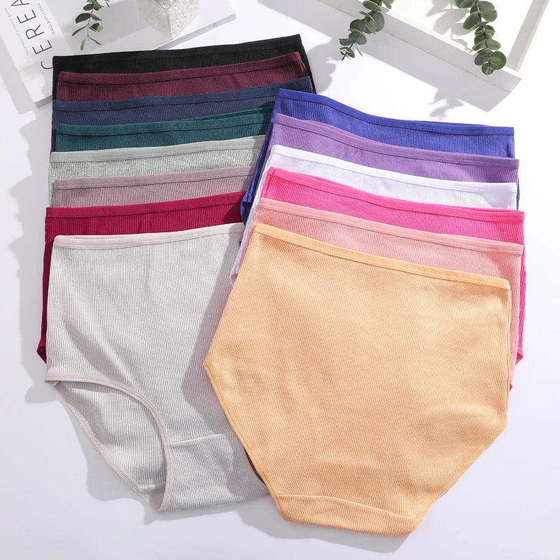 Culottes Rayées Grande Taille