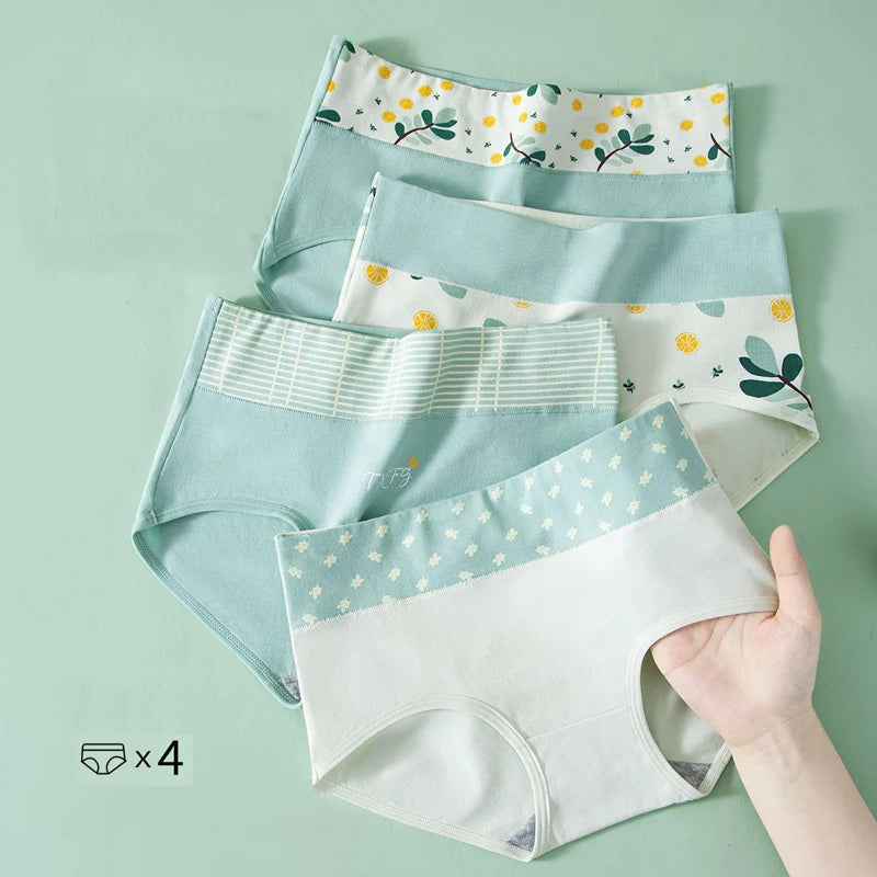 Culottes Femme Taille Haute