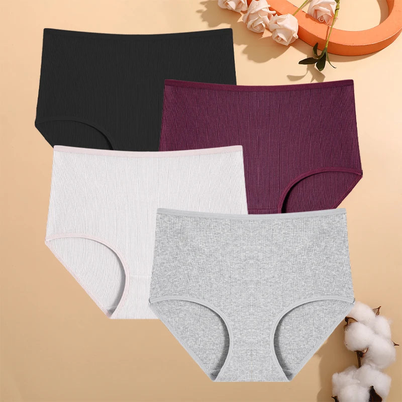 Culottes Rayées Grande Taille