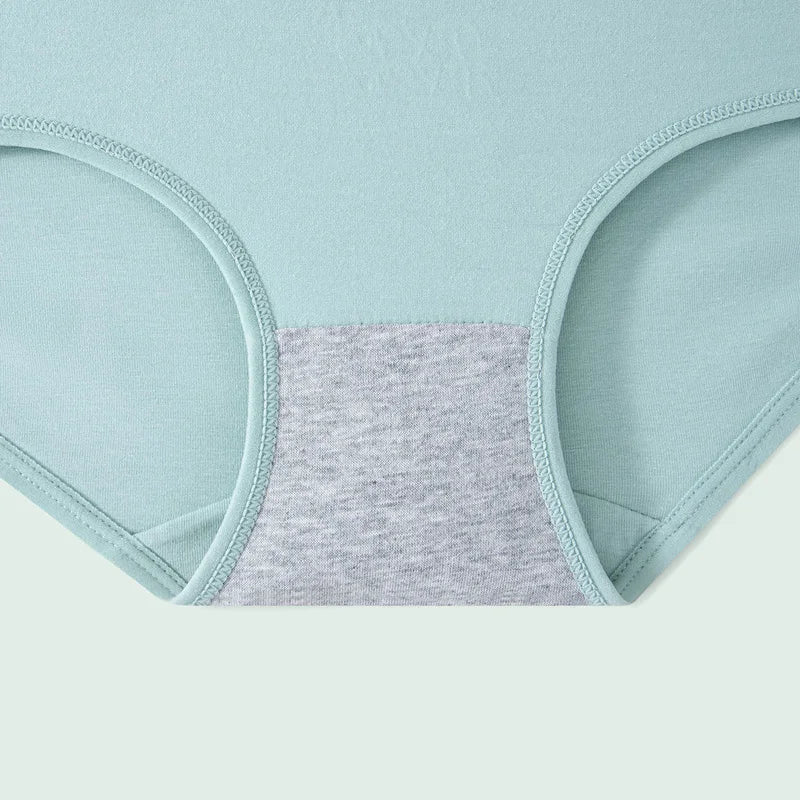 Culottes Femme Taille Haute