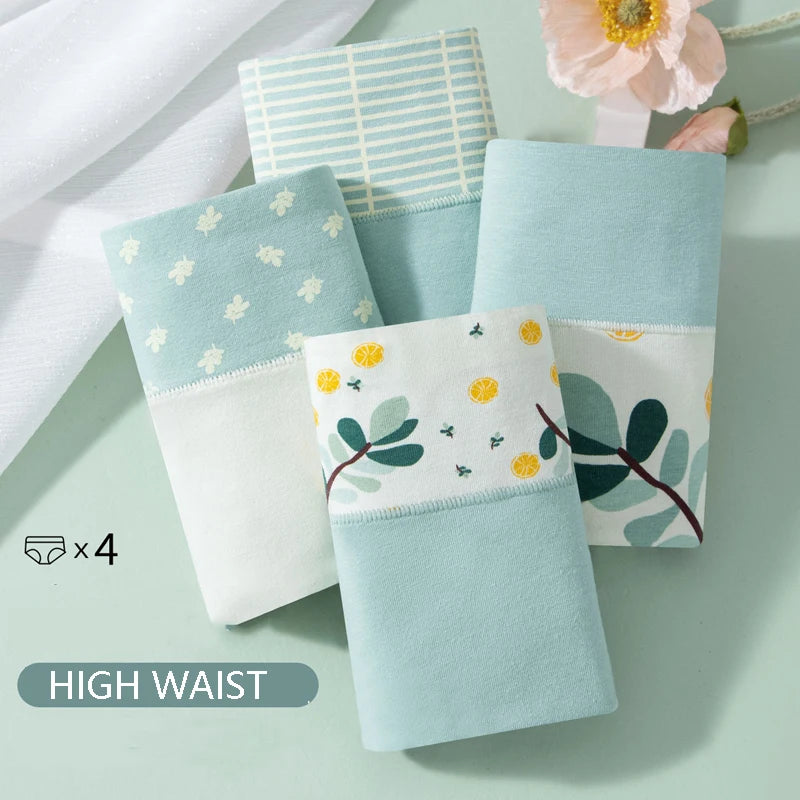 Culottes Femme Taille Haute