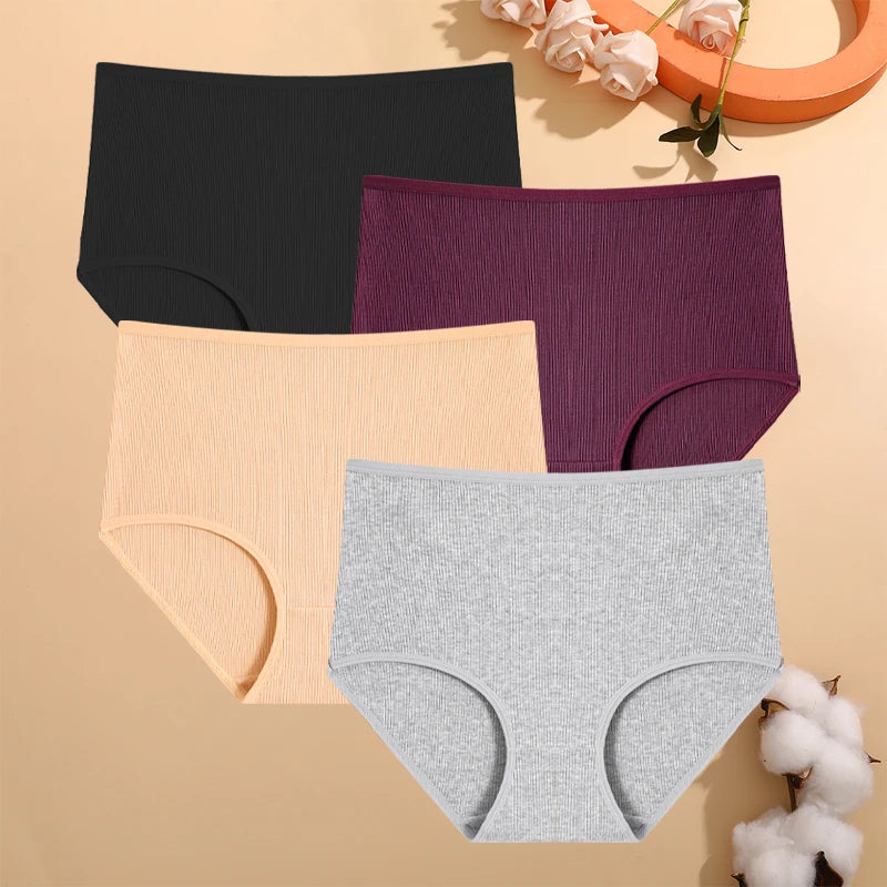 Culottes Rayées Grande Taille