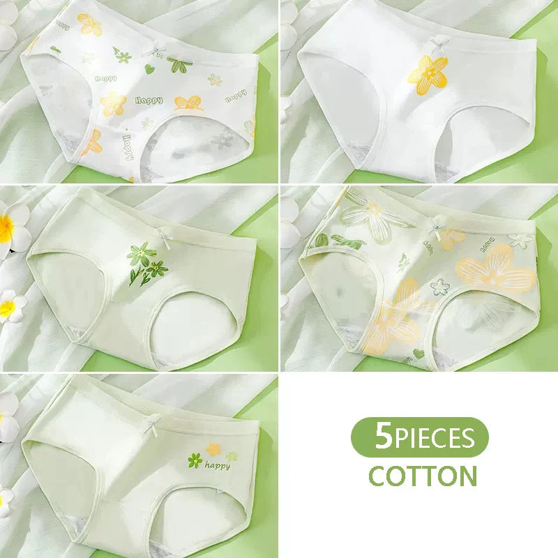 Culottes Femme Coton Mignon