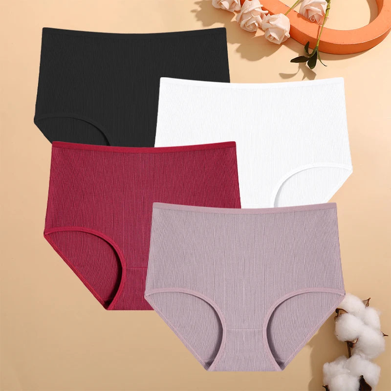 Culottes Rayées Grande Taille