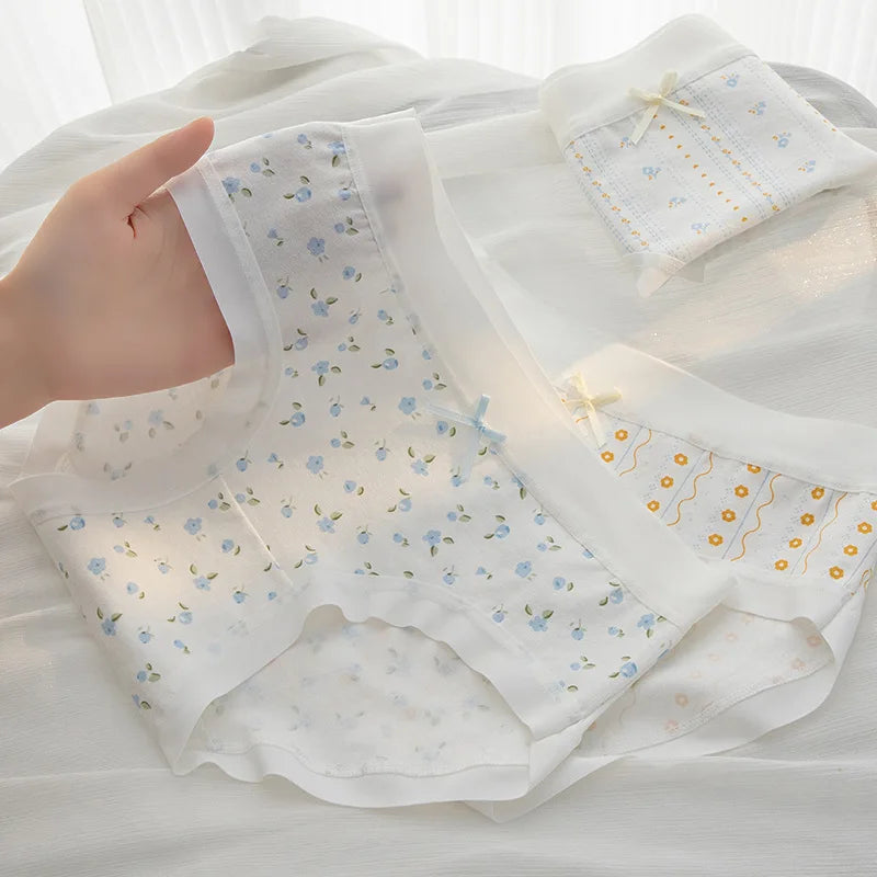 Culottes Femme Taille Moyenne