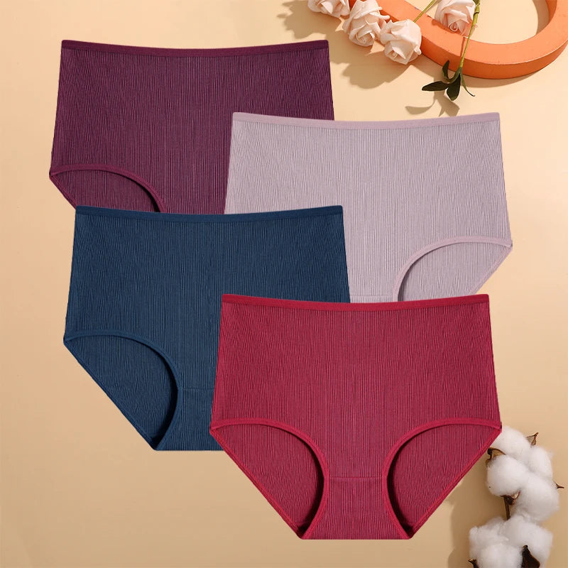 Culottes Rayées Grande Taille