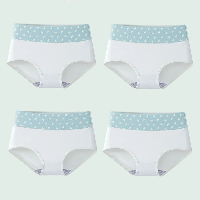 Culottes Femme Taille Haute