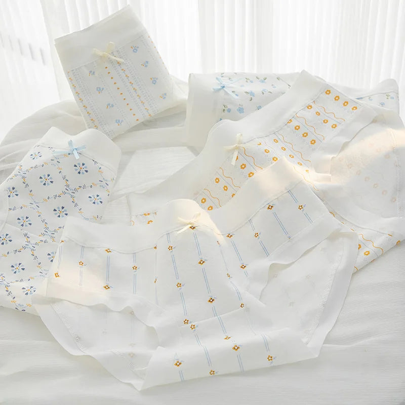 Culottes Femme Taille Moyenne