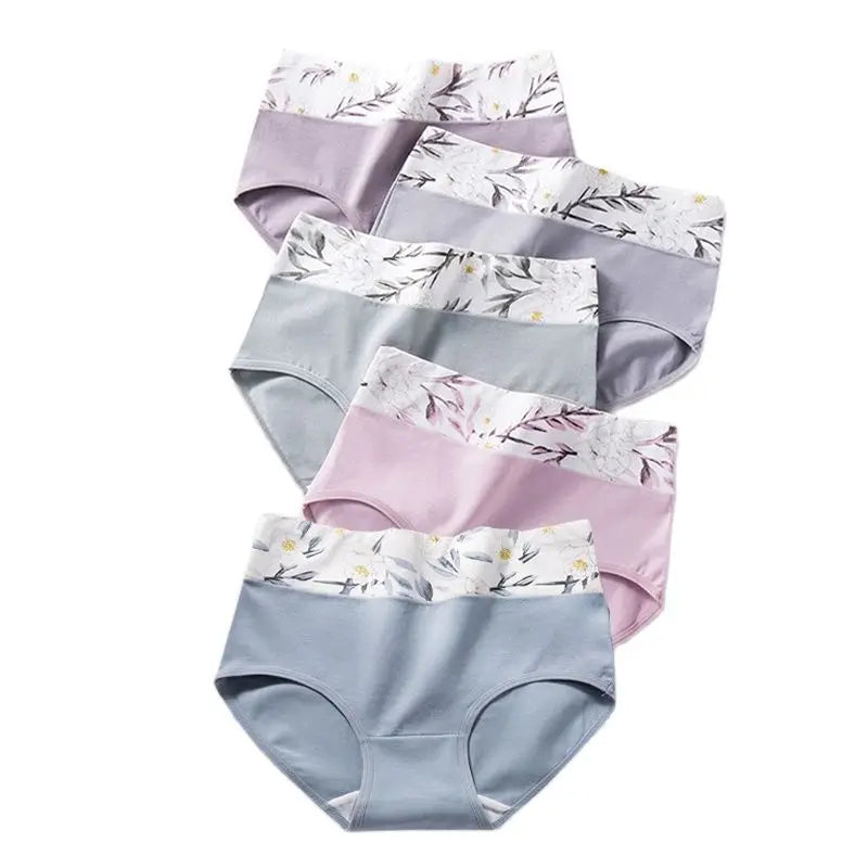 Culottes Femme Taille Haute Sexy