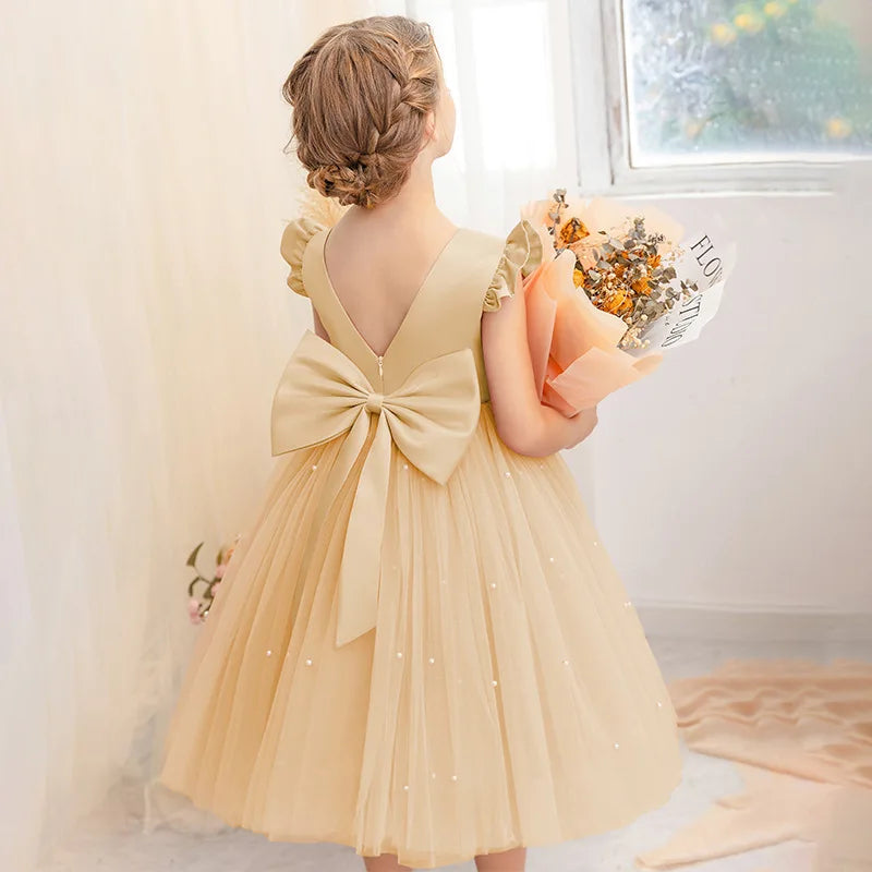 Robe Fille Tulle Princesse